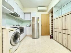 Eight Riversuites (D12), Condominium #597763411